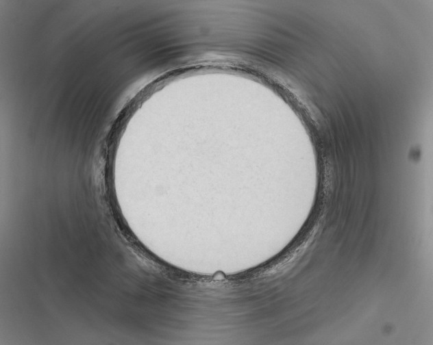 X0000116511066201001201440