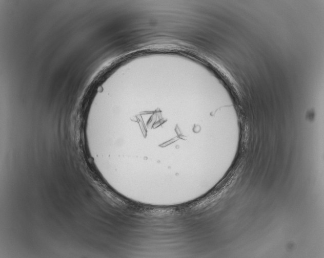 X0000116511067201001201440