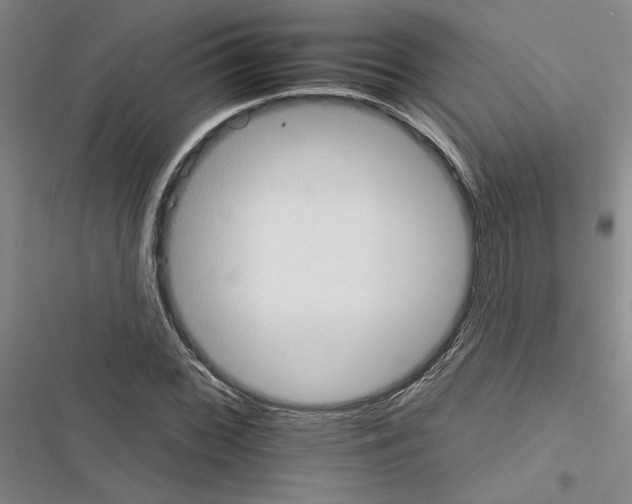 X0000116511068201001201440