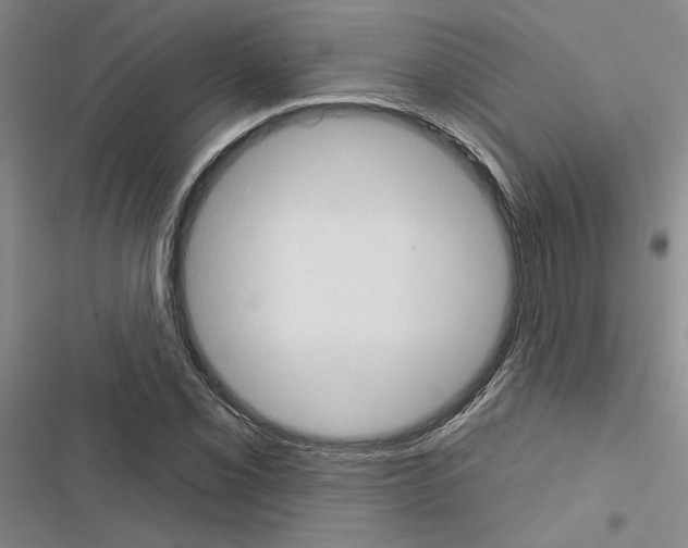 X0000116511069201001201440
