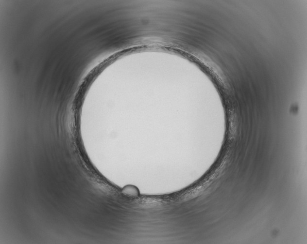 X0000116511070201001201440
