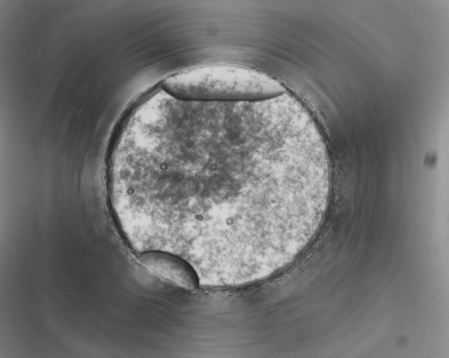 X0000116511072201001201440