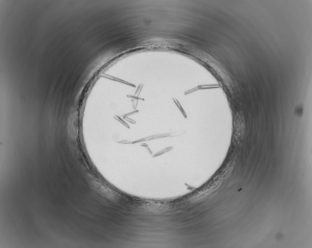 X0000116511075201001201440