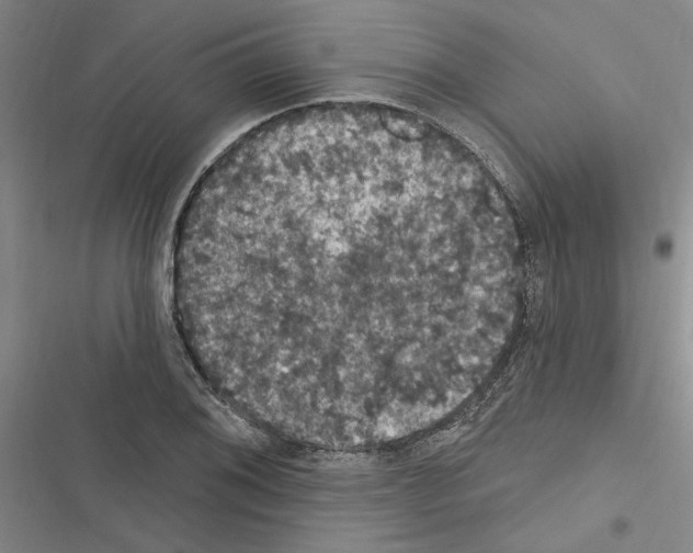X0000116511076201001201440