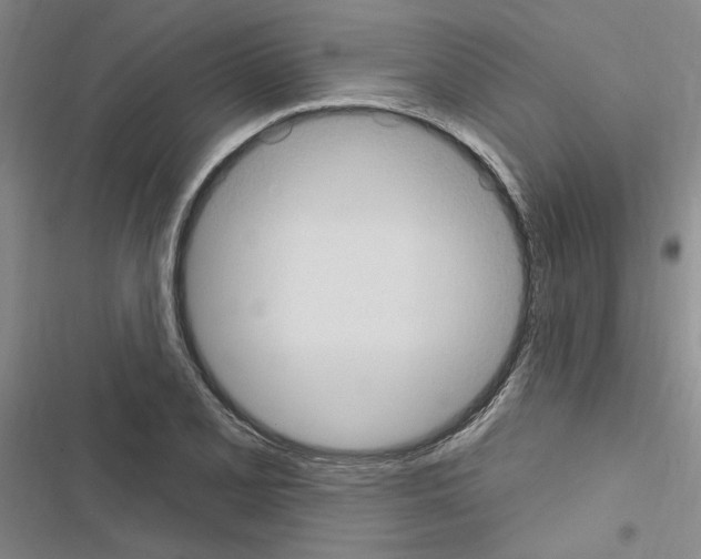 X0000116511077201001201440