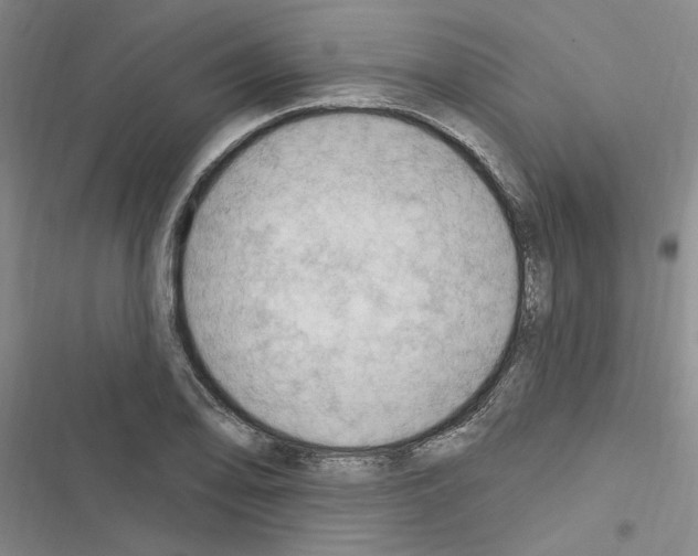 X0000116511078201001201440