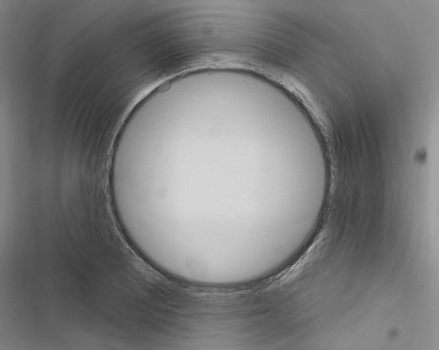 X0000116511081201001201440