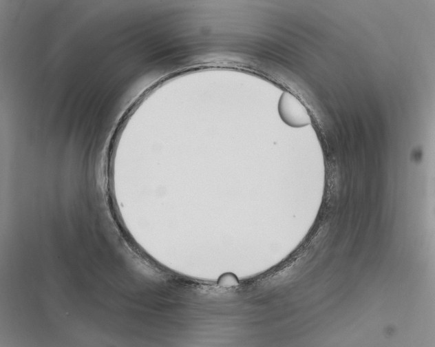 X0000116511082201001201440