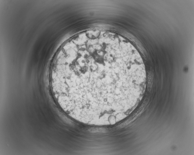 X0000116511083201001201440