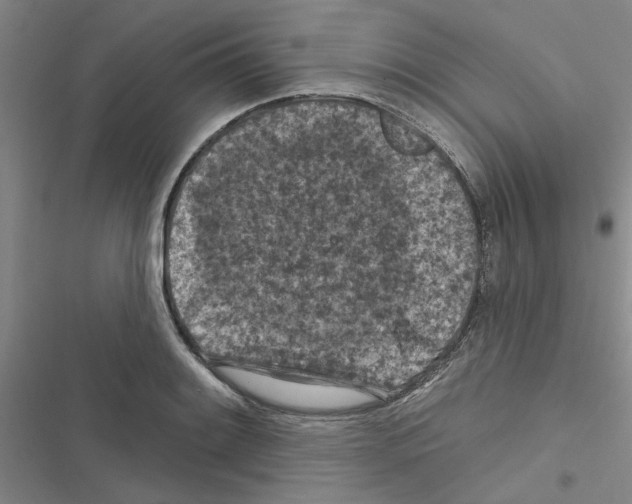 X0000116511084201001201440