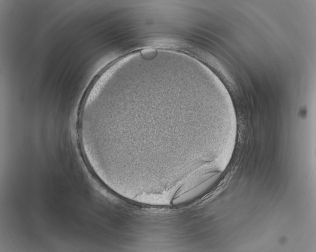 X0000116511087201001201440