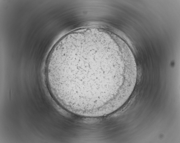 X0000116511091201001201440