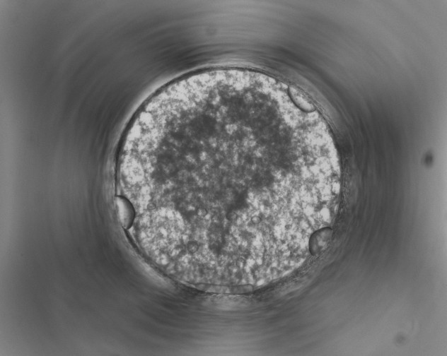 X0000116511092201001201440