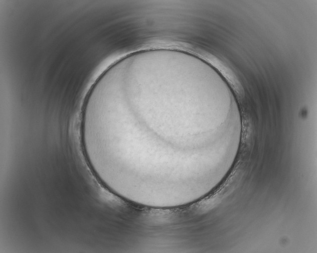 X0000116511094201001201440