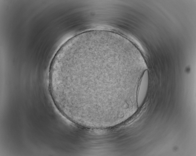 X0000116511095201001201440