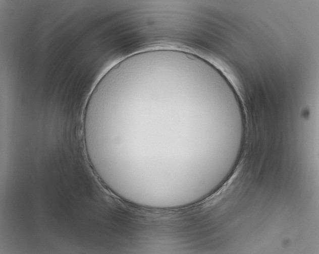 X0000116511097201001201440