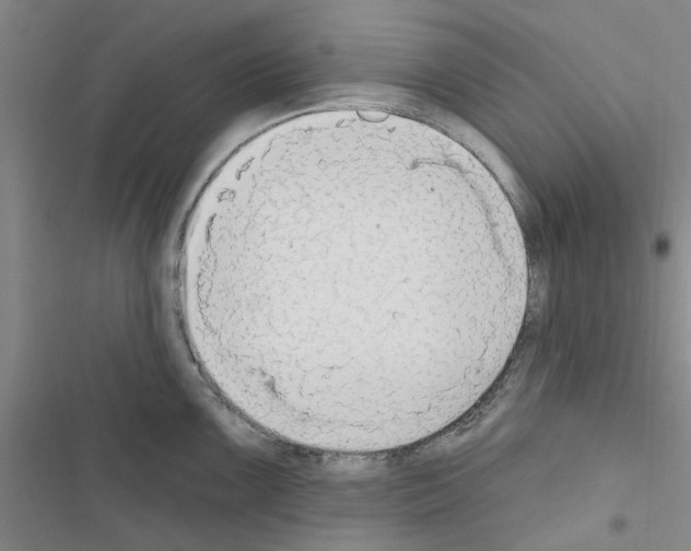 X0000116511099201001201440