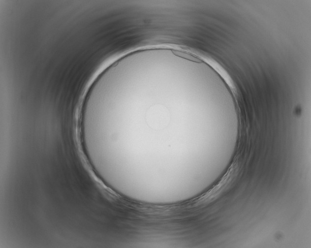 X0000116511101201001201440