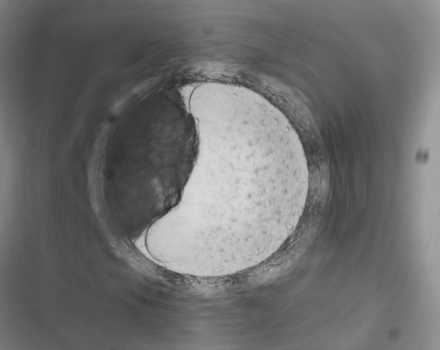 X0000116511105201001201439