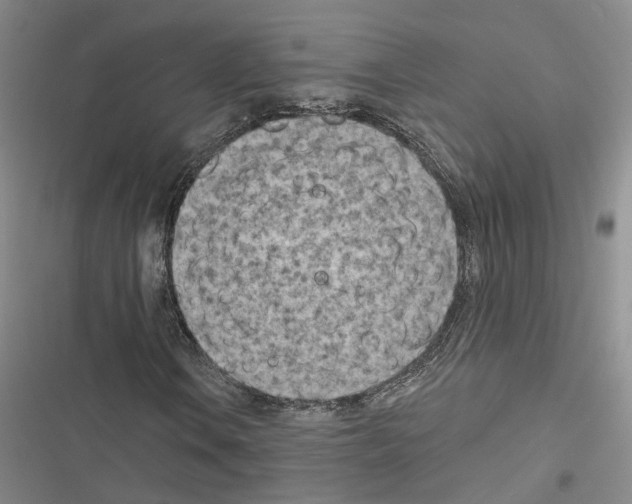 X0000116511106201001201439