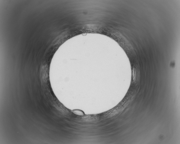 X0000116511107201001201439