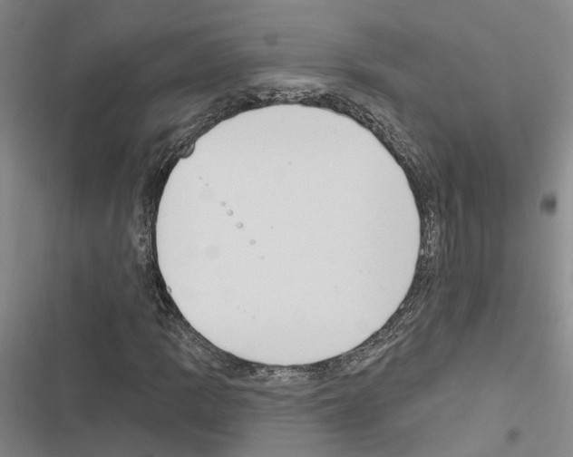 X0000116511109201001201439