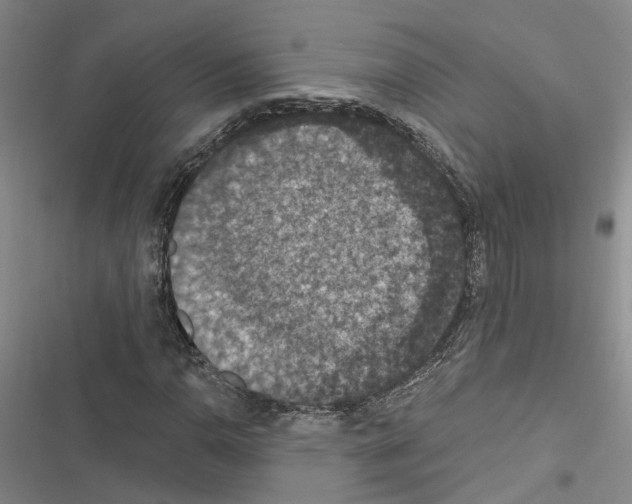 X0000116511110201001201439