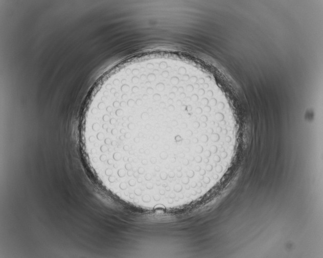 X0000116511113201001201439