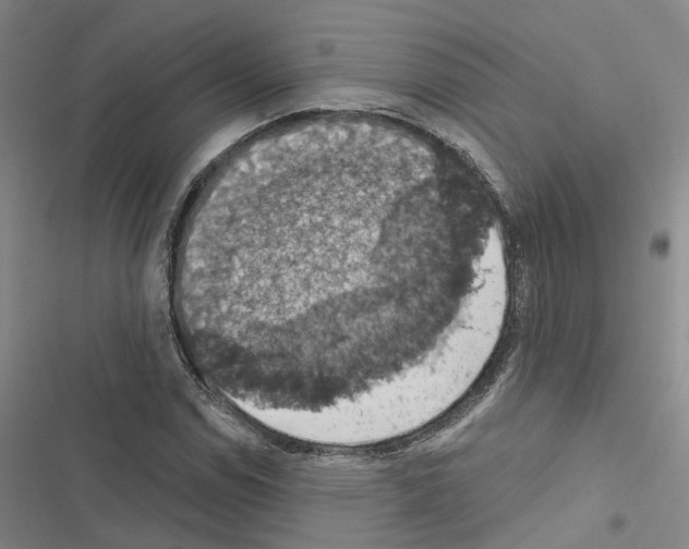 X0000116511114201001201439