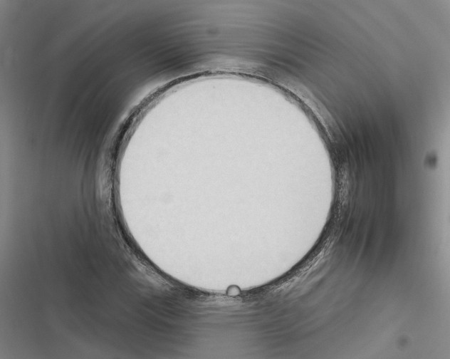 X0000116511115201001201439