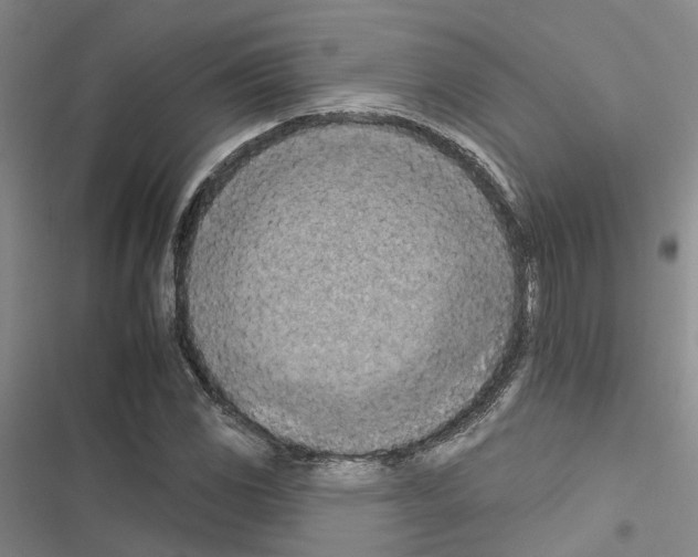 X0000116511117201001201439