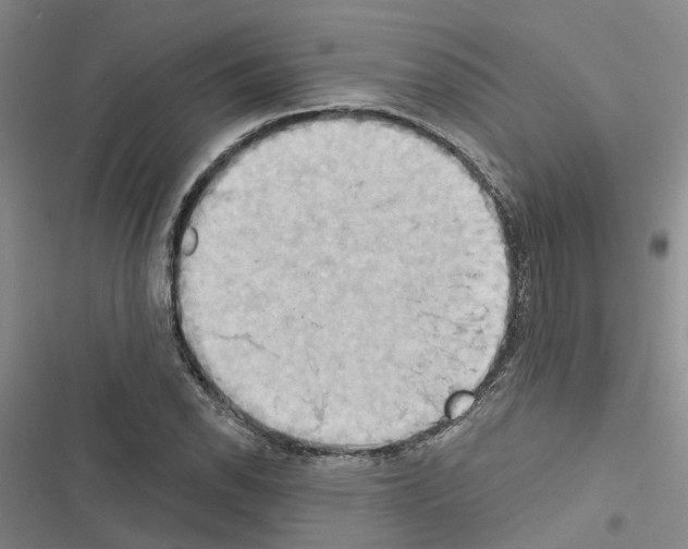 X0000116511118201001201439