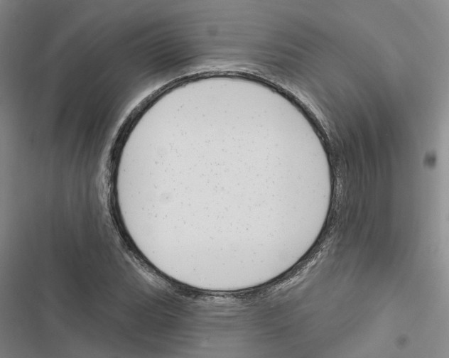 X0000116511119201001201439