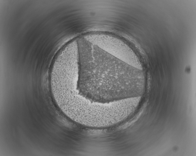 X0000116511121201001201439