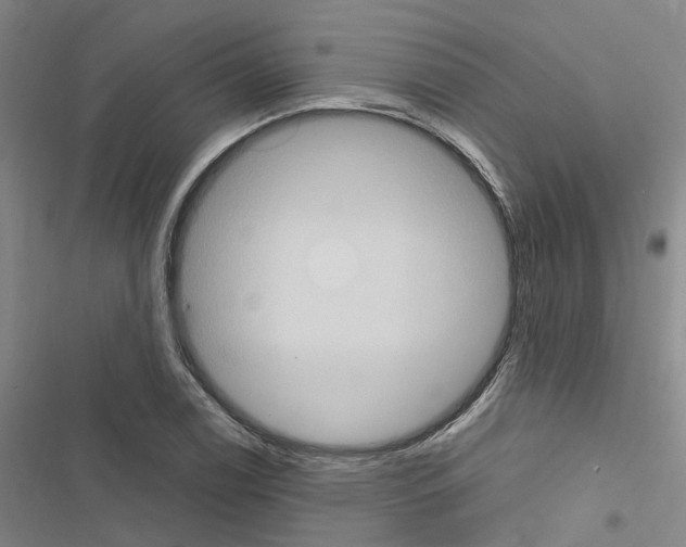 X0000116511122201001201439