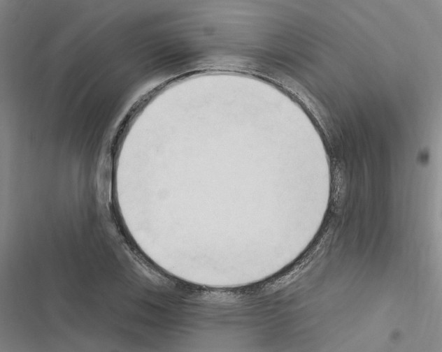 X0000116511123201001201439