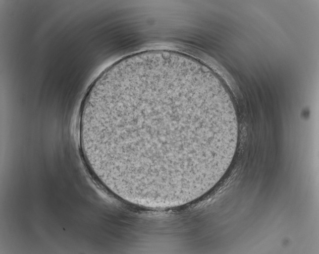 X0000116511127201001201439