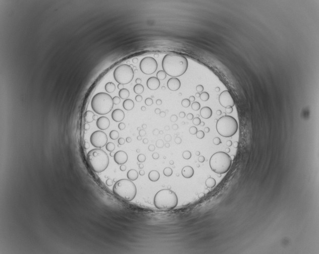 X0000116511130201001201439