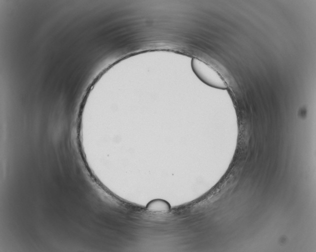 X0000116511135201001201439