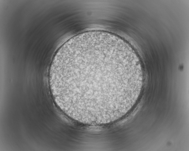 X0000116511137201001201439