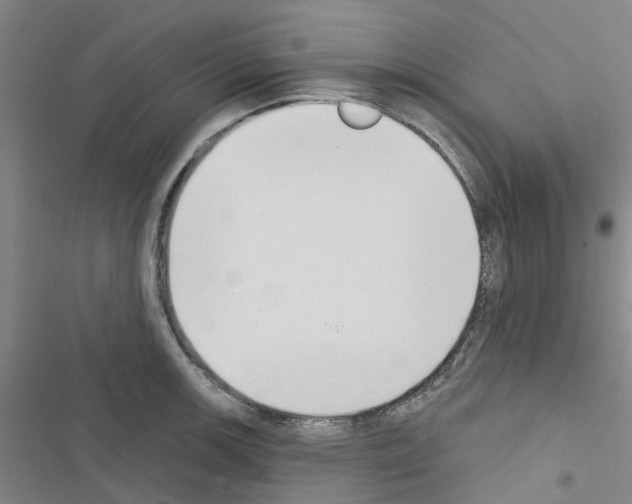 X0000116511139201001201439