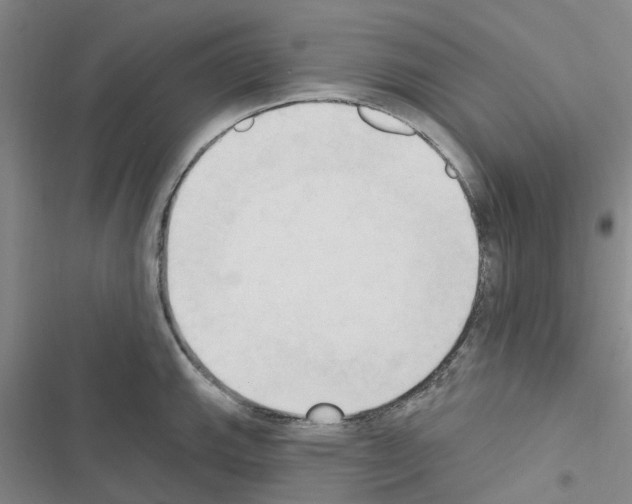 X0000116511143201001201440
