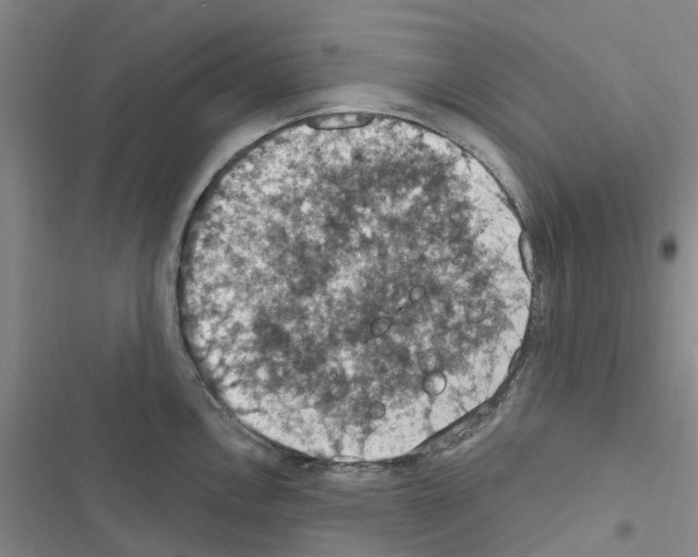 X0000116511146201001201440