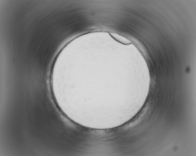 X0000116511149201001201440