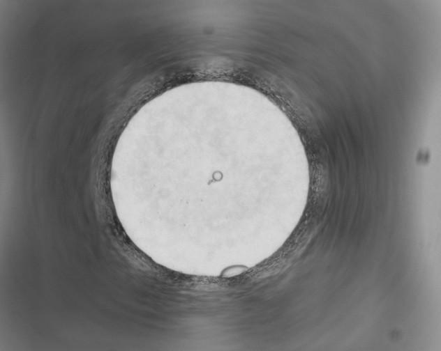 X0000116511153201001201439