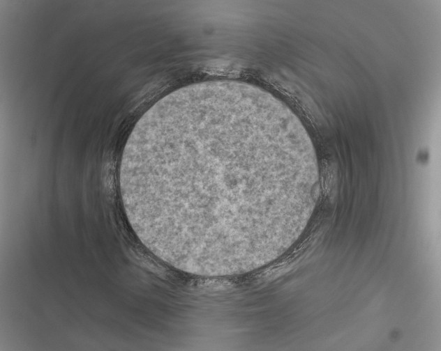 X0000116511154201001201439