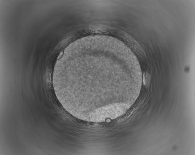 X0000116511155201001201439