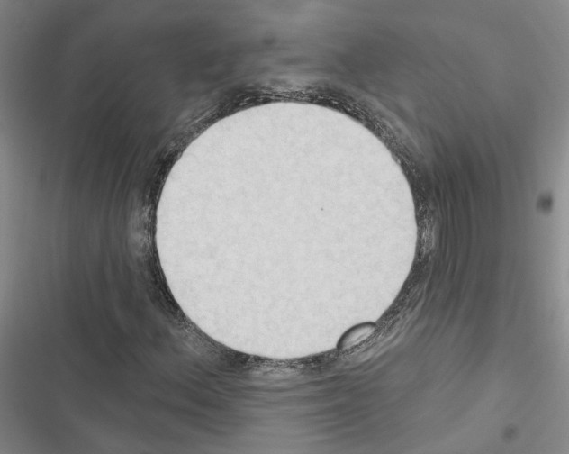 X0000116511156201001201439