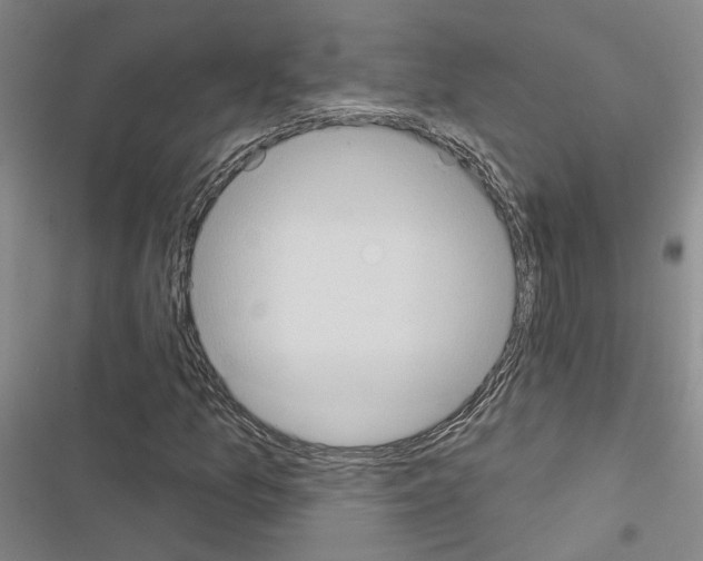X0000116511157201001201439