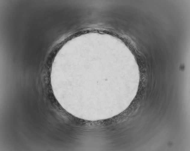 X0000116511159201001201439